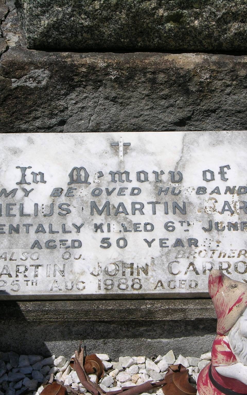 Cornelius Martin CARROLL, Cornelius CARROLL, Con CARROLL