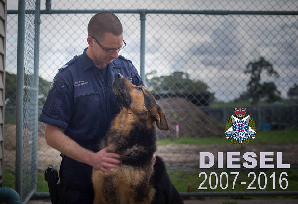 Police Dog DIESEL