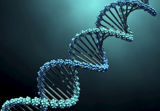 DNA Strand - CREST