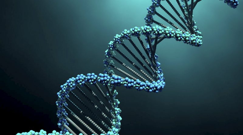 DNA Strand - CREST