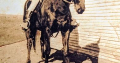 This is a photo of Linda Mitselburg's grandfather, John James "Jack" Duncan. He was a mounted policeman in Wilcannia in the late 1920s. We are not sure of where the photo was taken, as he was also stationed in White Cliffs, Broken Hill, Menindee, Howlong, Wentworth and Ivanhoe during his time in the police. If you have an information that you can give us, it would be greatly appreciated.