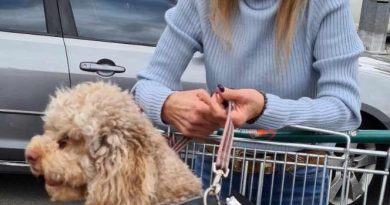 Fiona TAYLOR -2 - NSWPF - Civilian Support - 9534470 - Died 7 June 2024