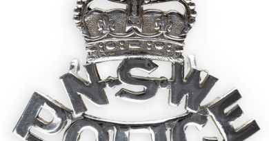 NSW Police hat badge - c1953 CREST