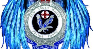 NSW RIP Crest 02 - Black insert by Steve Pearson - Feb 2025 High quality