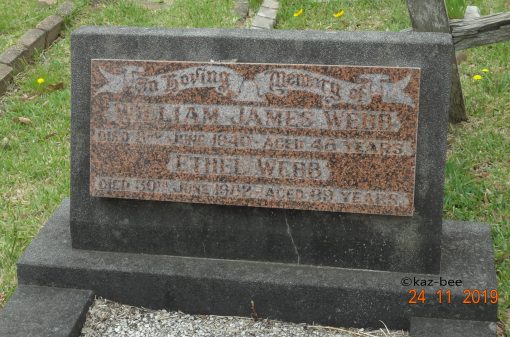 William James WEBB 03 - NSWP 00362 - Died 3 June 1940
