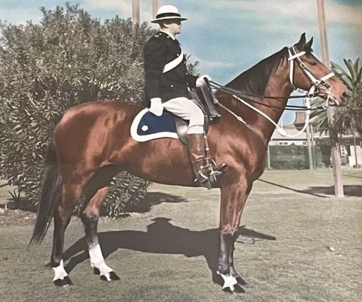 John CLEAL 02 - NSWPF 8409 - Died 6 Feb 2026