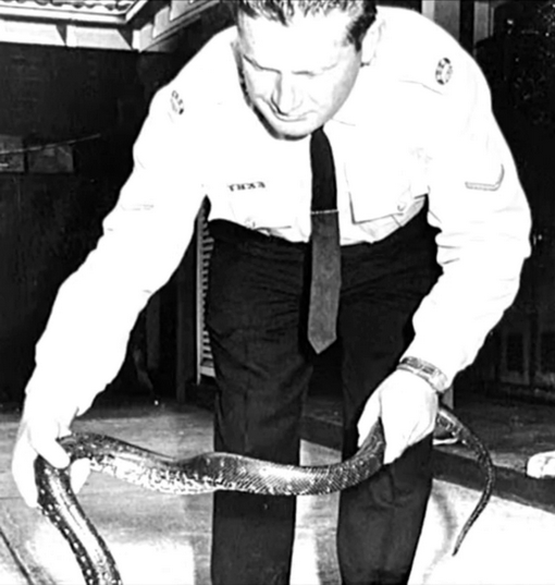 Colin Arthur FITZROY 02A - NSWPF 10611 - Died 26 Feb 2026